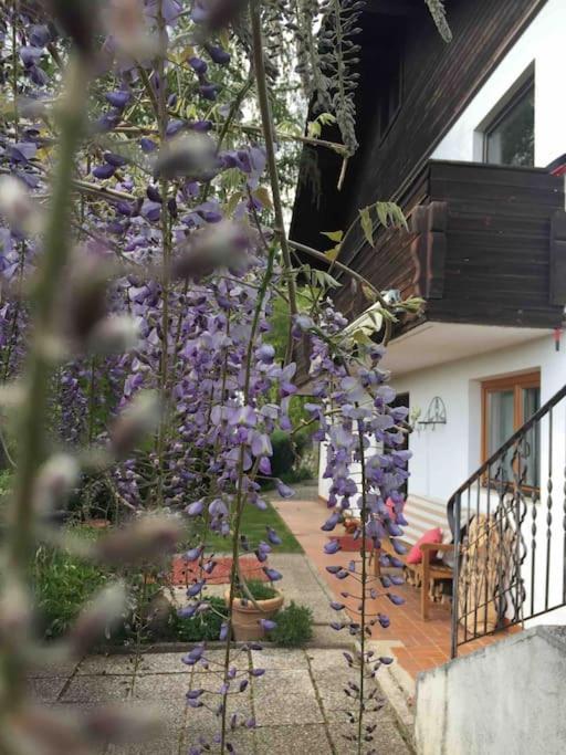 Charmantes Landhaus Mit Garten Und Traumhaftem Fernblick Thal  Exterior foto