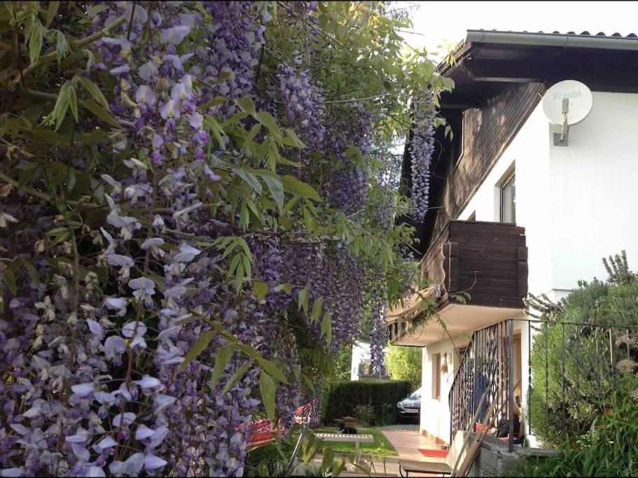 Charmantes Landhaus Mit Garten Und Traumhaftem Fernblick Thal  Exterior foto