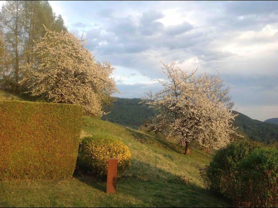 Charmantes Landhaus Mit Garten Und Traumhaftem Fernblick Thal  Exterior foto
