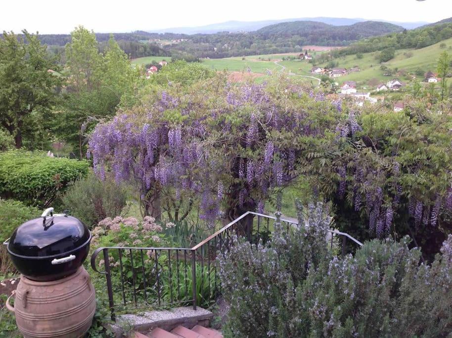 Charmantes Landhaus Mit Garten Und Traumhaftem Fernblick Thal  Exterior foto